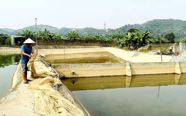Thủy sản Việt Nam chuyển từ cạnh tranh sản lượng sang nâng giá trị và phát triển bền vững Thủy sản Việt Nam chuyển từ cạnh tranh sản lượng sang nâng giá trị và phát triển bền vững