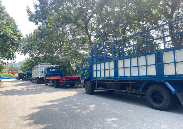 VEAM MOTOR đẩy mạnh đấu giá xe tồn kho, khơi thông nguồn lực cho sản xuất và kinh doanh VEAM MOTOR đẩy mạnh đấu giá xe tồn kho, khơi thông nguồn lực cho sản xuất và kinh doanh