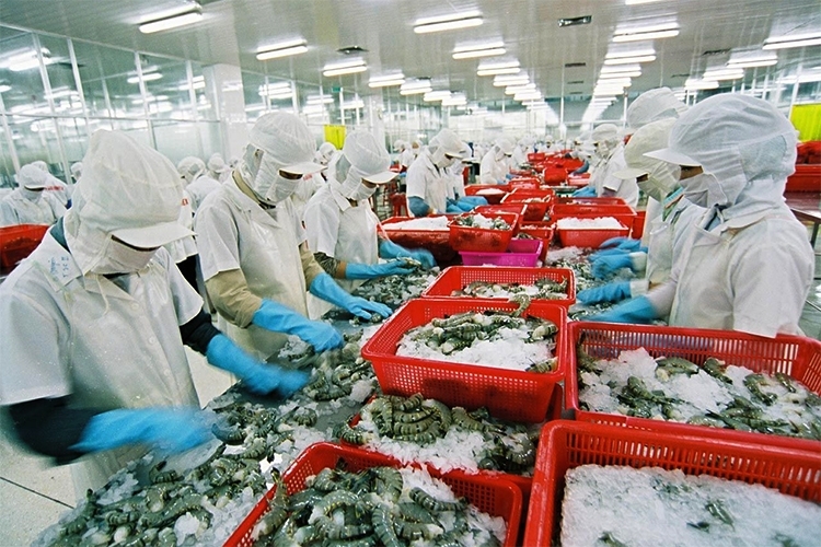 Lương tối thiểu dự kiến tăng bình quân 7,8% từ ngày 1/1/2027