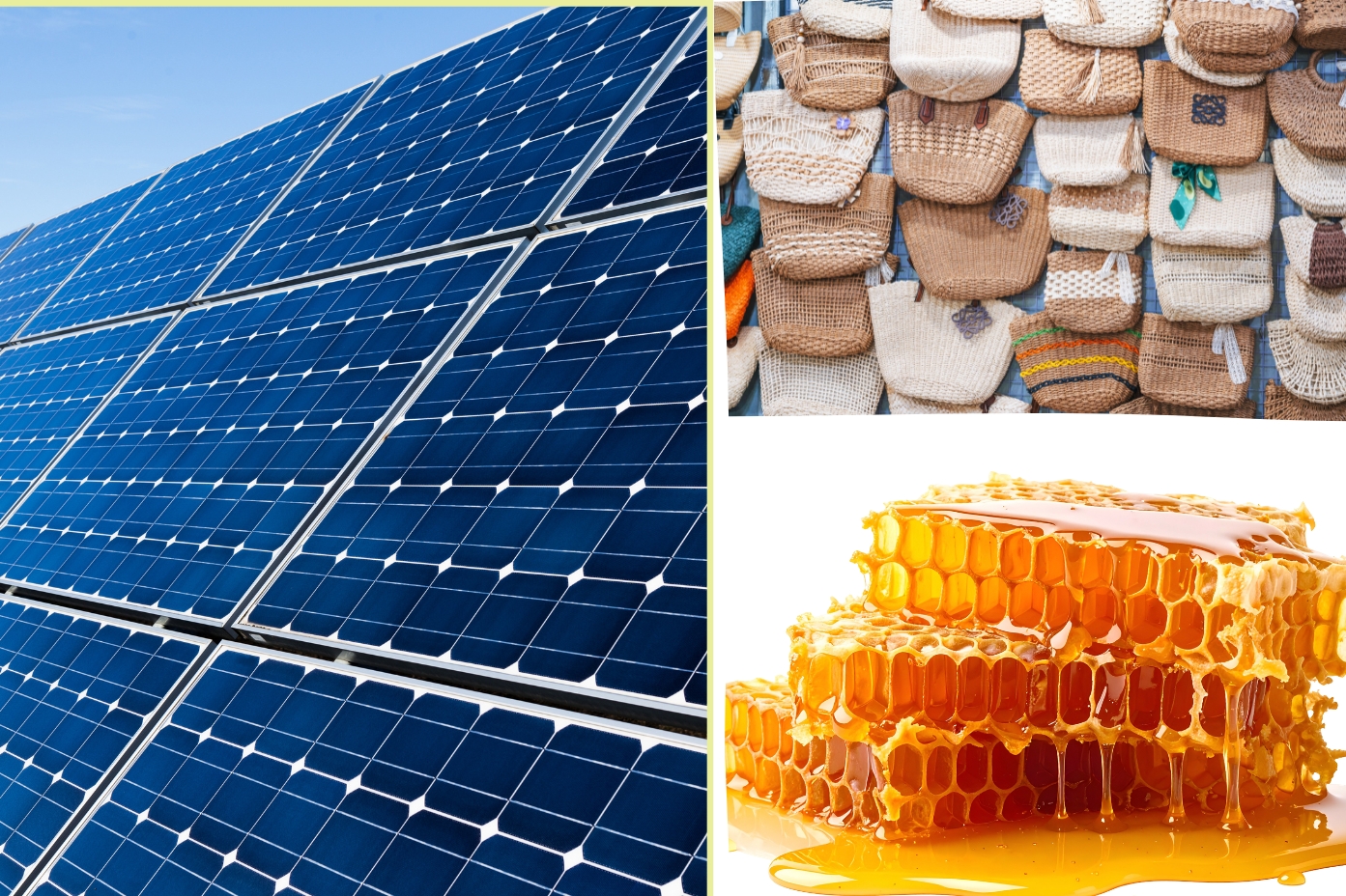 Hoa Kỳ rà soát thuế phòng vệ thương mại đối với 3 mặt hàng xuất khẩu của Việt Nam