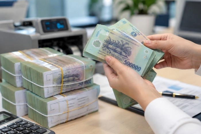 Loạt doanh nghiệp trả cổ tức bằng tiền, Tập đoàn Nam Mê Kông chia bằng cổ phiếu