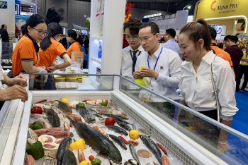 Xuất khẩu thủy sản sang Trung Quốc: Cạnh tranh chuyển sang chất lượng, tiện lợi và thương hiệu