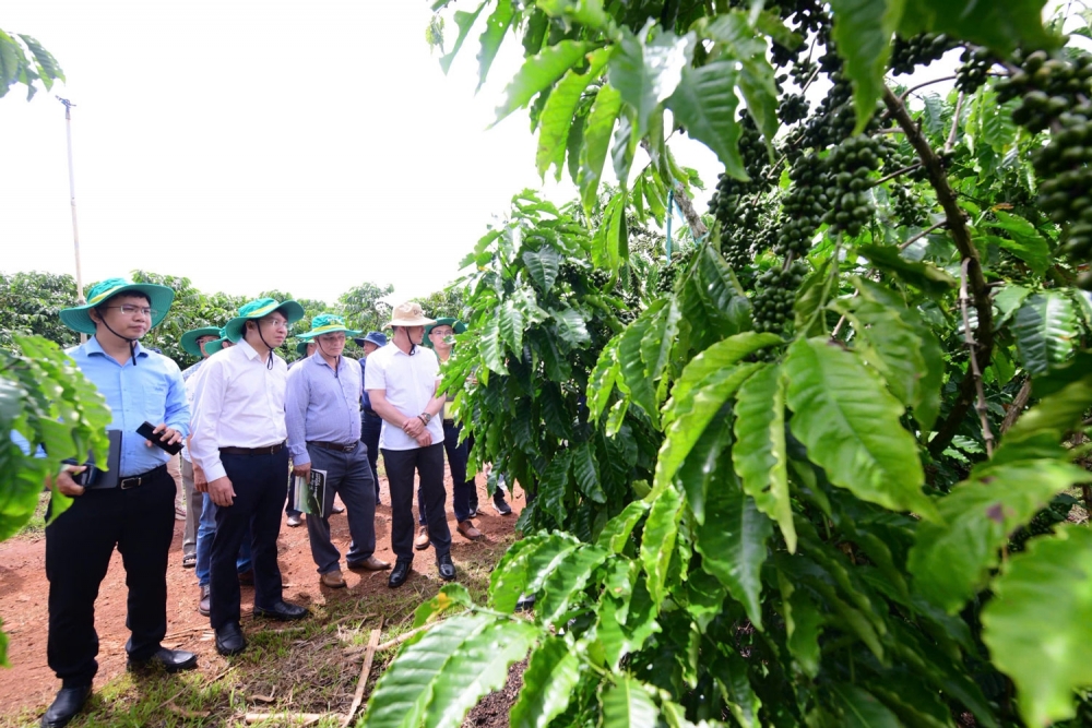 Cổ phiếu ngành phân bón trước bước ngoặt mới của chu kỳ giá