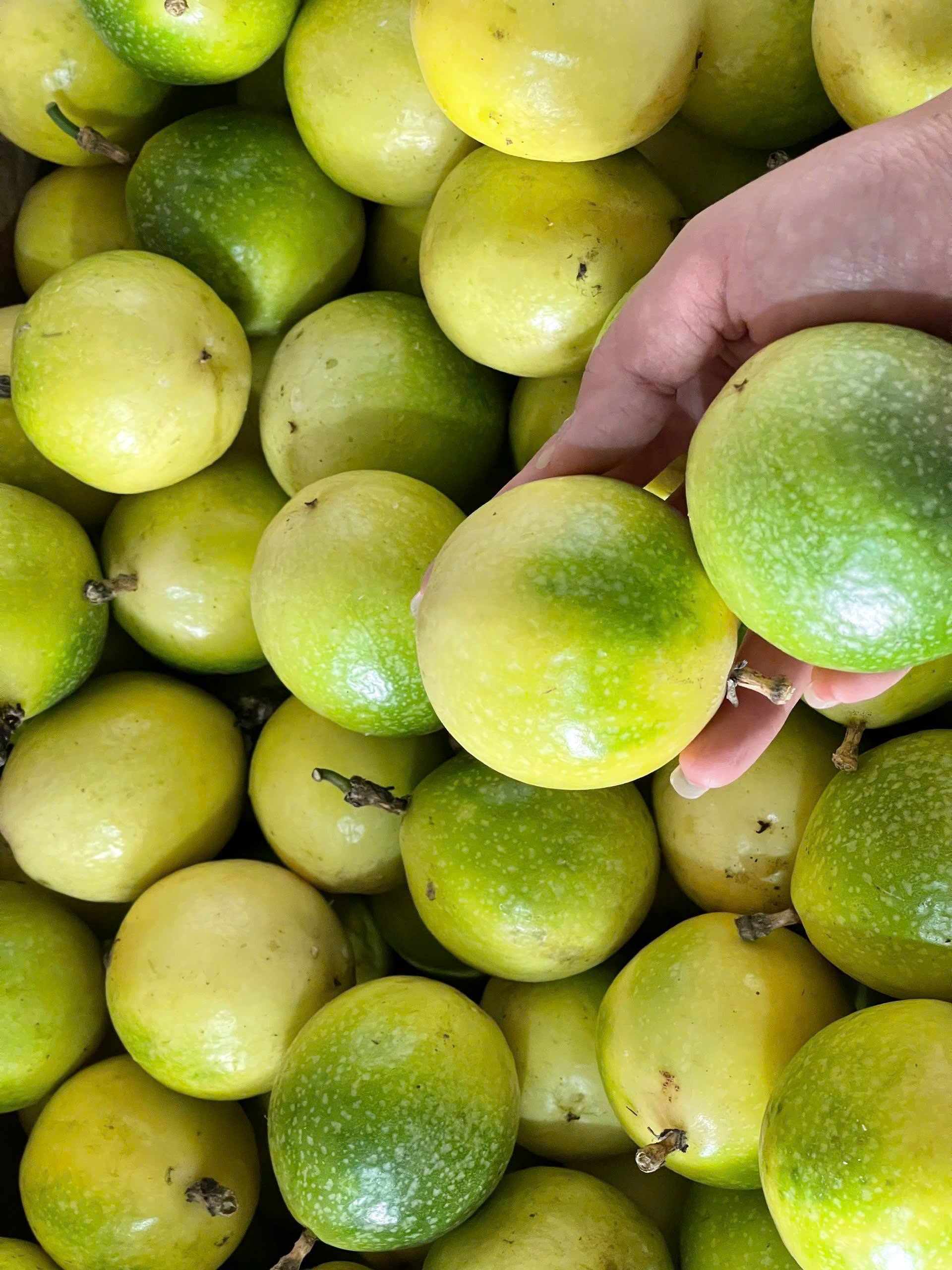 Xuất khẩu sang thị trường RCEP phải đi cùng năng lực phòng vệ thương mại