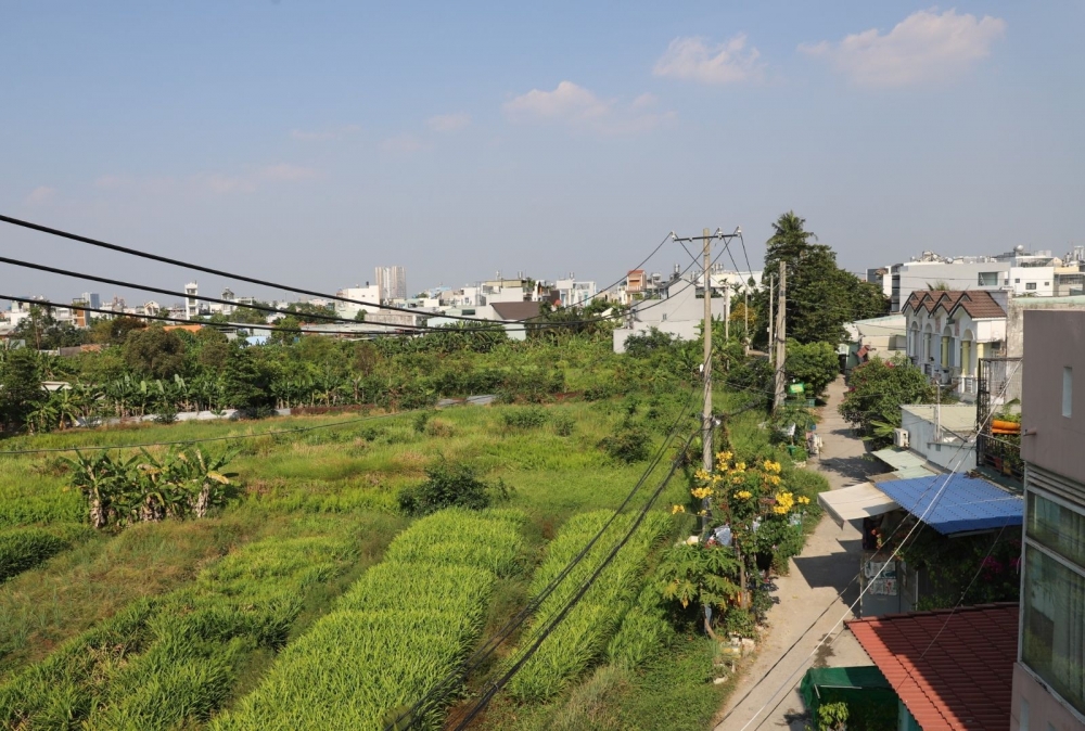 TP. Hồ Chí Minh ban hành quy định mới về tách thửa đất TP. Hồ Chí Minh ban hành quy định mới về tách thửa đất