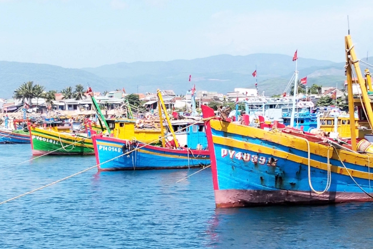 Đắk Lắk tái cơ cấu nghề cá, mở hướng sinh kế bền vững cho ngư dân
