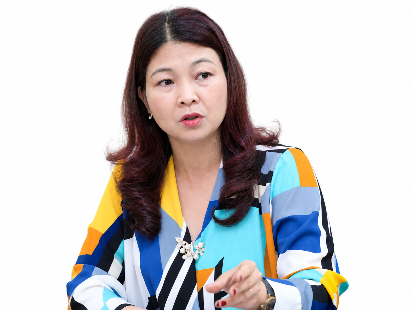 PGS.TS Lý Phương Duyên, Khoa Thuế và Hải quan (Học viện Tài chính). Ảnh: internet.