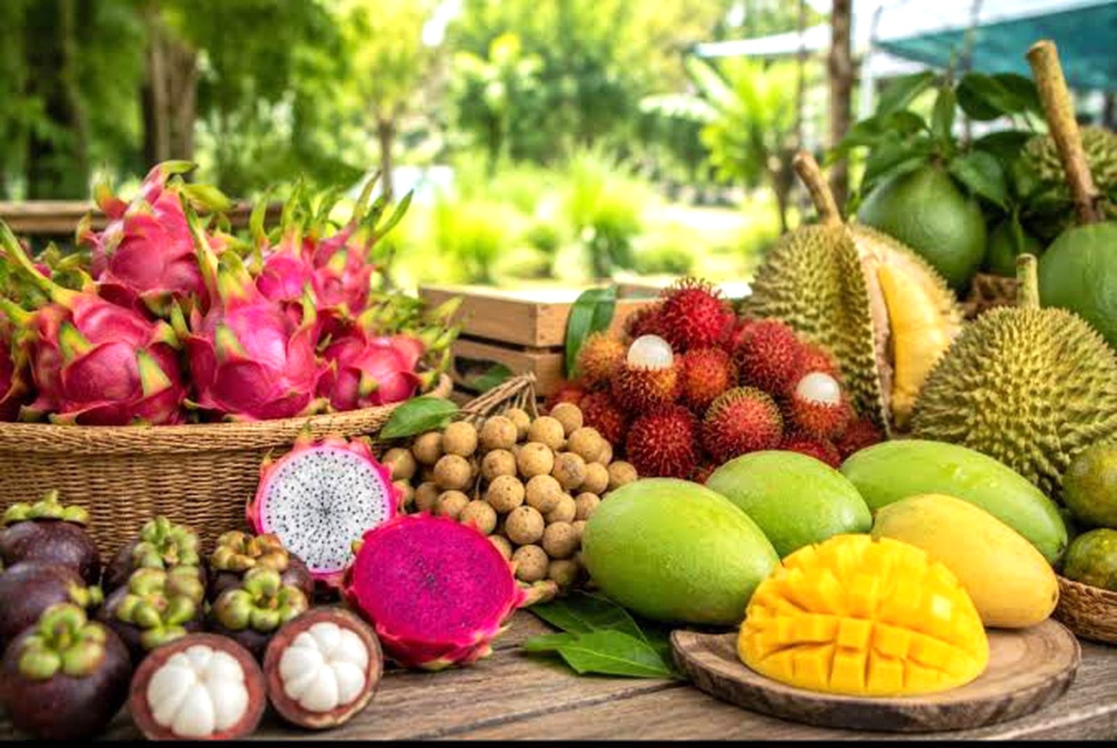 Xuất khẩu rau quả của Việt Nam ghi nhận những tín hiệu tích cực khi kim ngạch xuất khẩu tháng 8/2026 ước đạt 1,1 tỷ USD, nâng tổng kim ngạch xuất khẩu 8 tháng năm 2026 lên xấp xỉ 5,87 tỷ USD, tăng 21,8% so với cùng kỳ năm trước. 