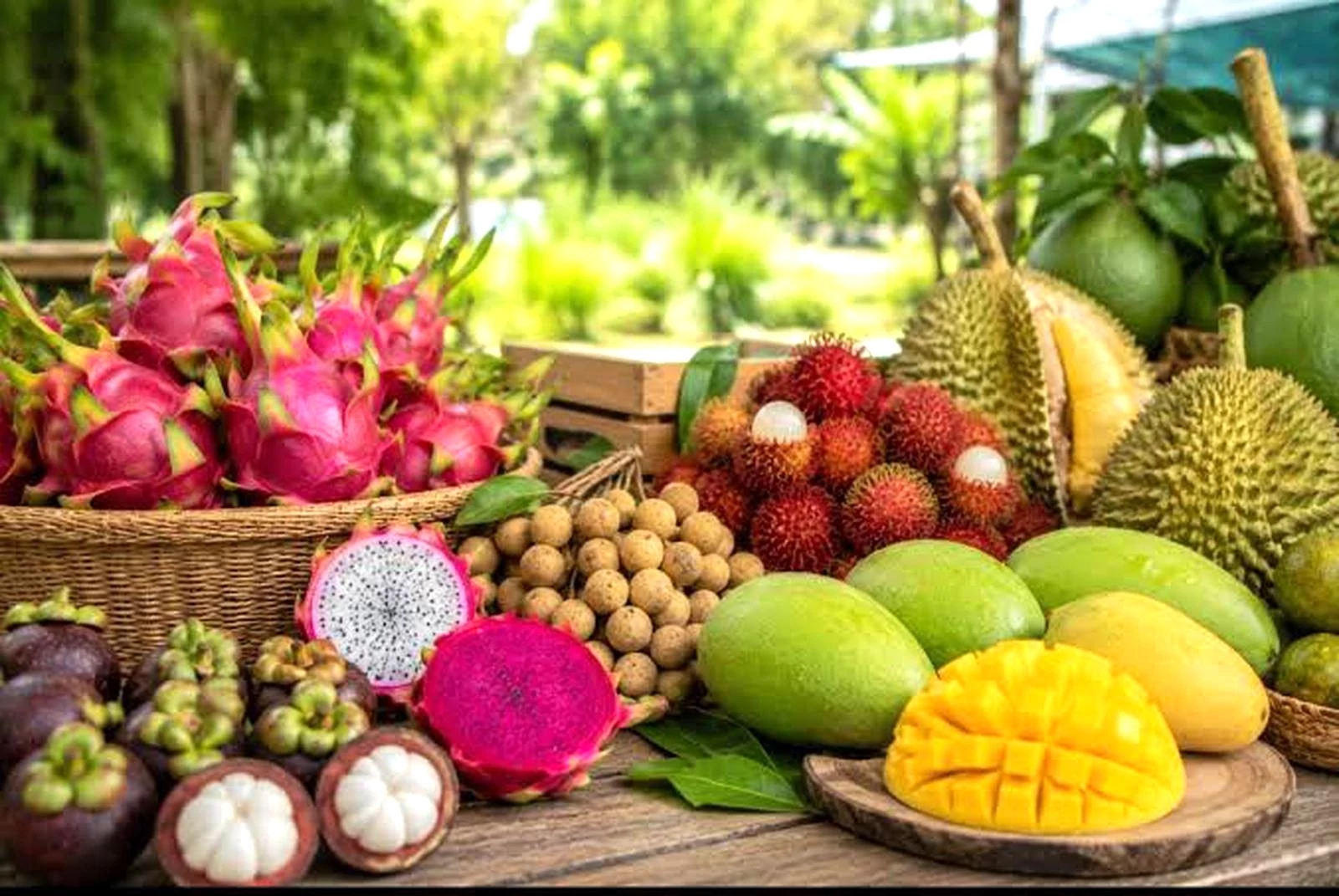 Xuất khẩu rau quả của Việt Nam ghi nhận những tín hiệu tích cực khi kim ngạch xuất khẩu tháng 8/2026 ước đạt 1,1 tỷ USD, nâng tổng kim ngạch xuất khẩu 8 tháng năm 2026 lên xấp xỉ 5,87 tỷ USD, tăng 21,8% so với cùng kỳ năm trước. 