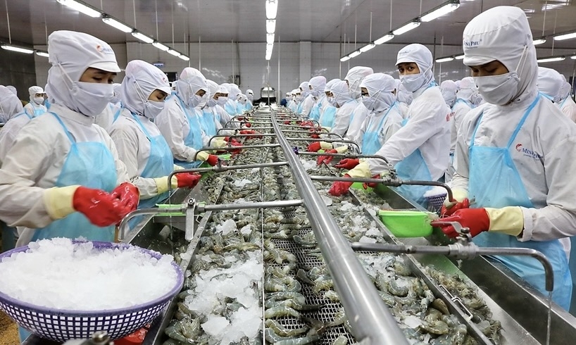 Ngành thủy sản Cà Mau: Tận dụng hiệu quả các Hiệp định thương mại tự do Ngành thủy sản Cà Mau: Tận dụng hiệu quả các Hiệp định thương mại tự do