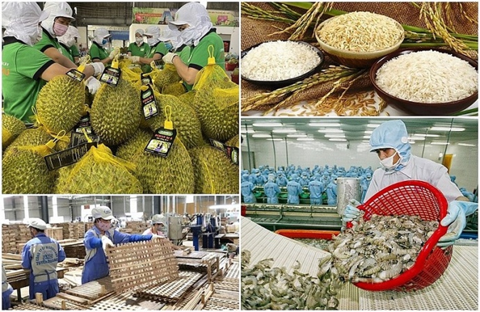 Xuất khẩu nông, lâm, thủy sản tiến sát 50 tỷ USD - Tạp chí Kinh tế