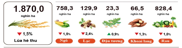 Nông, lâm nghiệp và thủy sản giữ đà tăng trưởng cuối năm