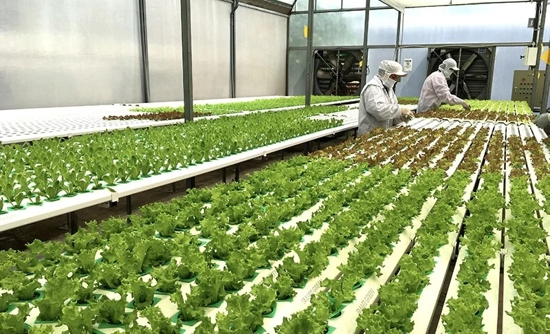 Nguồn lực tài chính cho chuyển đổi xanh vùng Đồng bằng sông Cửu Long Nguồn lực tài chính cho chuyển đổi xanh vùng Đồng bằng sông Cửu Long