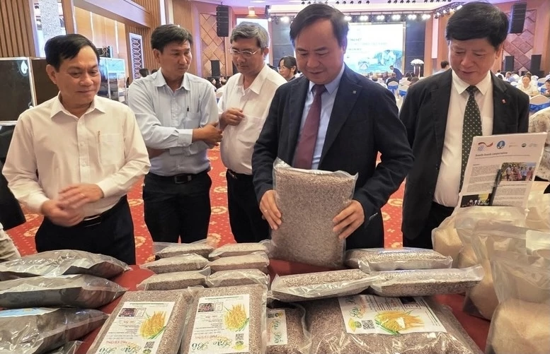 Nguồn lực tài chính cho chuyển đổi xanh vùng Đồng bằng sông Cửu Long Nguồn lực tài chính cho chuyển đổi xanh vùng Đồng bằng sông Cửu Long