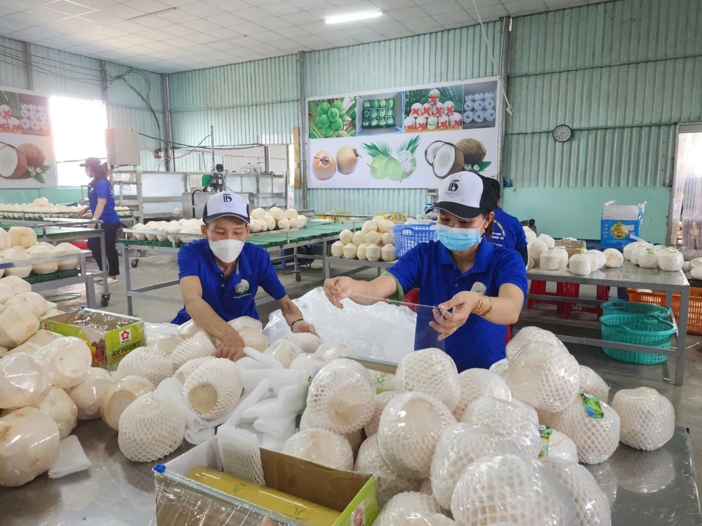 Hàng Việt lên sàn thương mại điện tử, bài toán lớn nằm sau đơn hàng