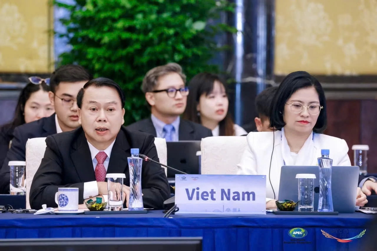 Việt Nam đề xuất ba ưu tiên thúc đẩy doanh nghiệp nhỏ và vừa chuyển đổi số tại APEC