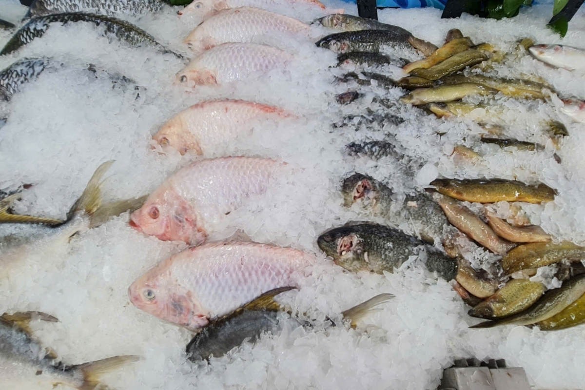 Xuất khẩu thủy sản Việt Nam: Đa dạng hóa thị trường để duy trì tăng trưởng