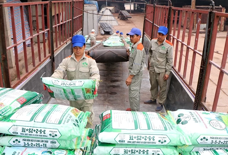 Thuế xuất khẩu phân bón: Vì sao urea, SOP được đề xuất giảm, supe lân vẫn giữ 5%?