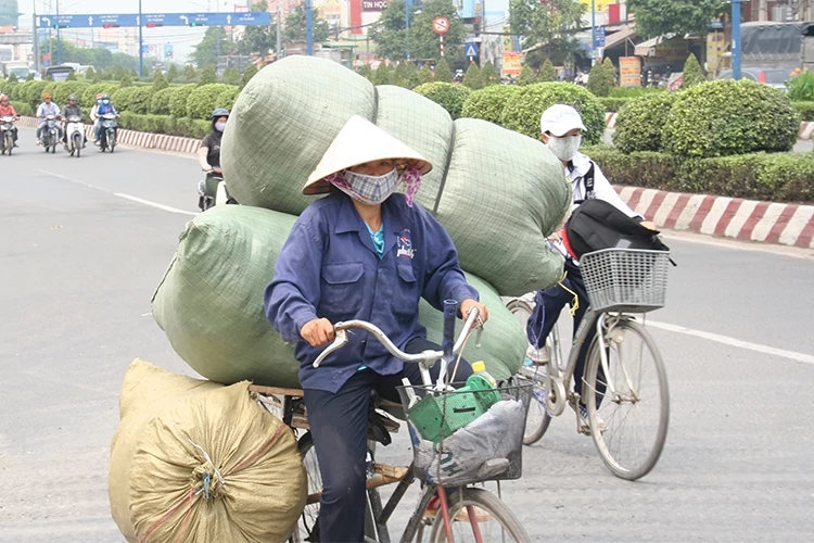 Do không có lương hưu, nhiều người già phải bươn chải kiếm sống nuôi bản thân.