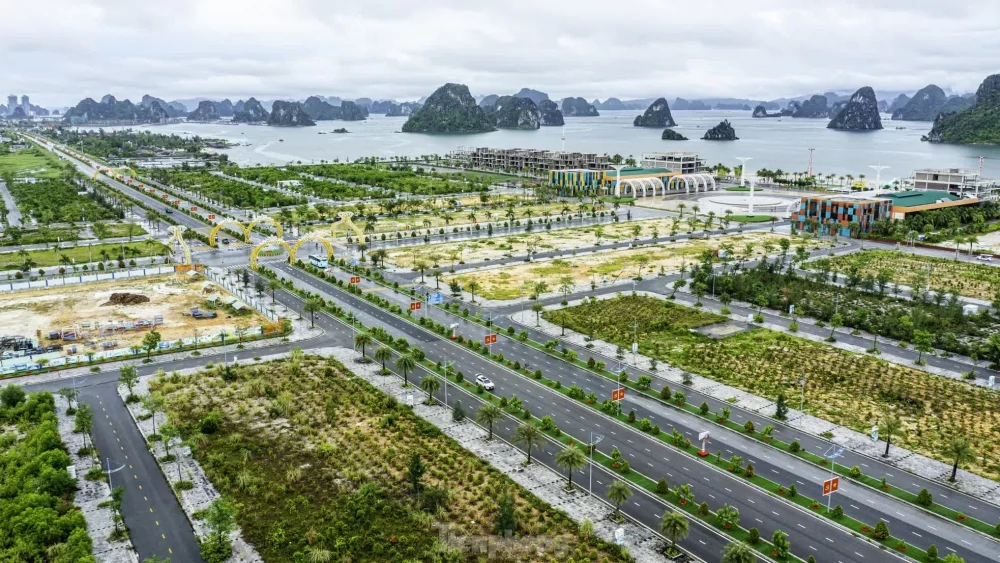 Mở cơ chế phát triển khu kinh tế đặc biệt thành cực tăng trưởng mới Mở cơ chế phát triển khu kinh tế đặc biệt thành cực tăng trưởng mới