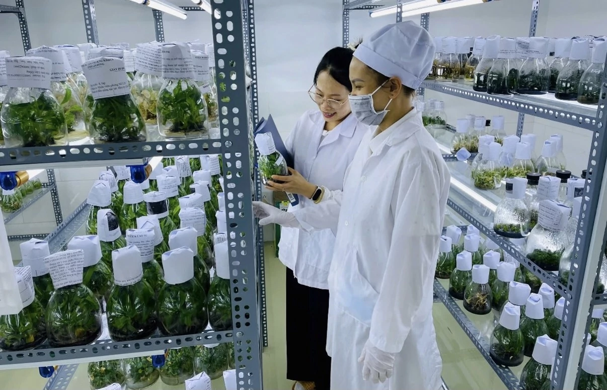 Khu công nghệ cao tỉnh Lâm Đồng sẽ phát triển theo mô hình xanh