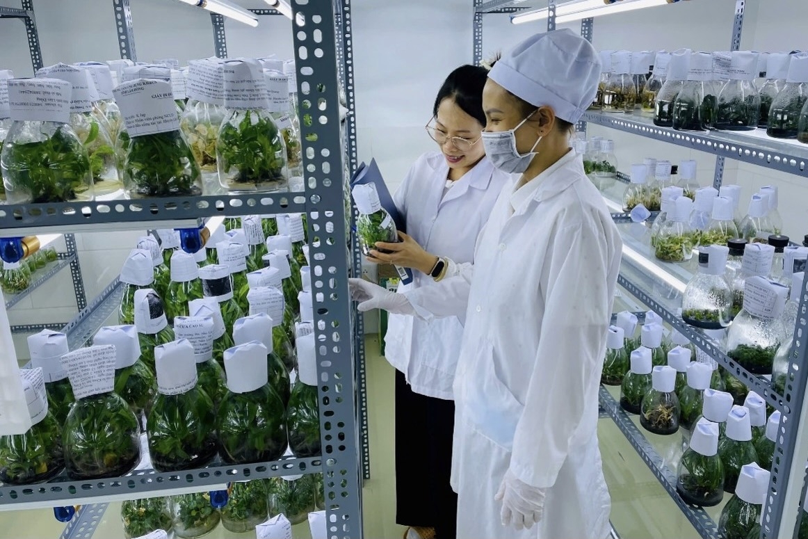 Khu công nghệ cao tỉnh Lâm Đồng sẽ phát triển theo mô hình xanh