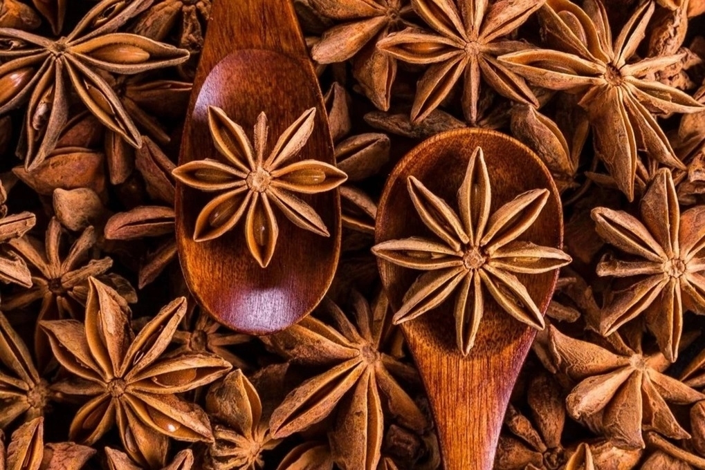 Xuất khẩu hoa hồi chuyển hướng sang châu Mỹ