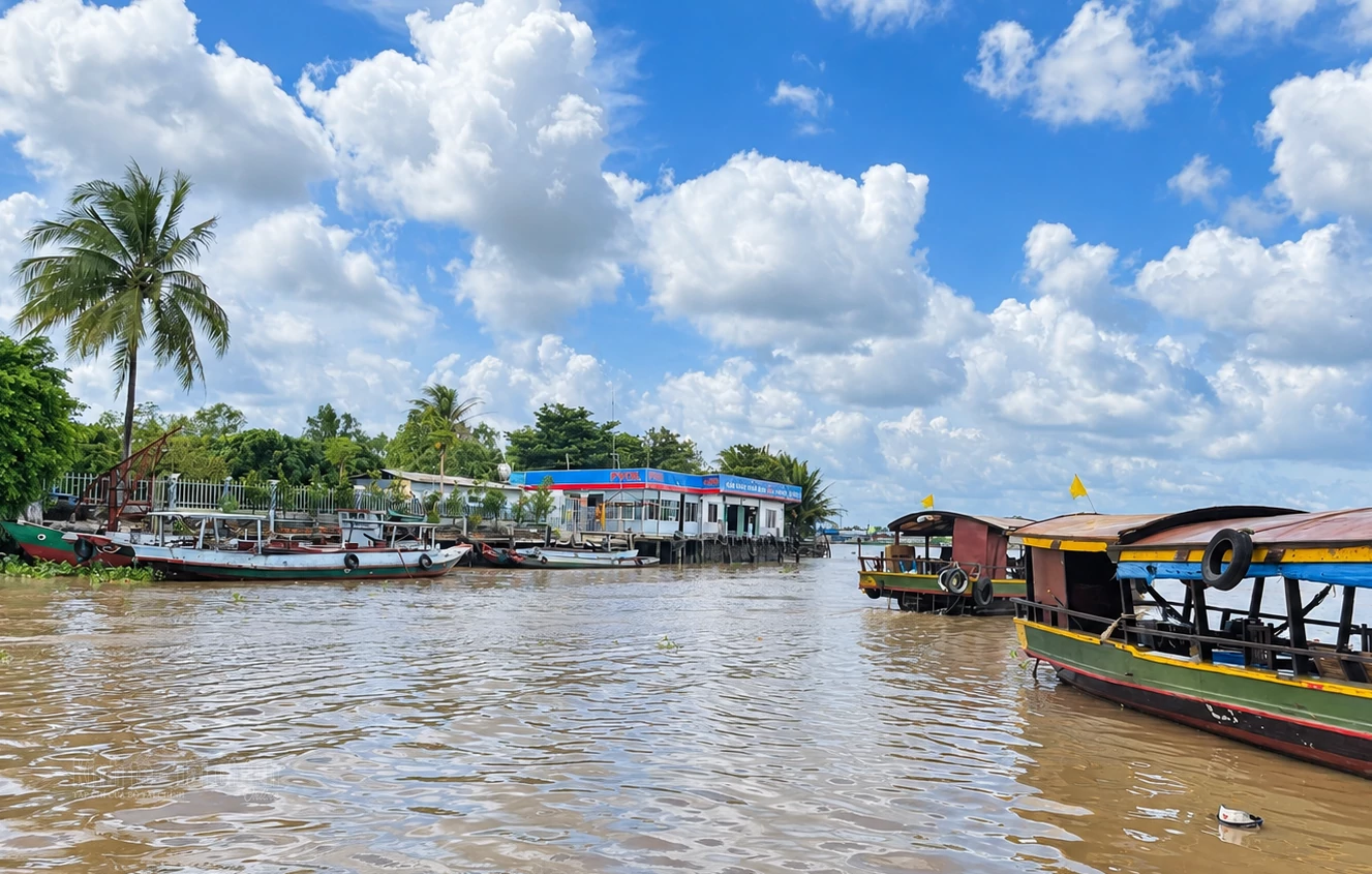 dự án