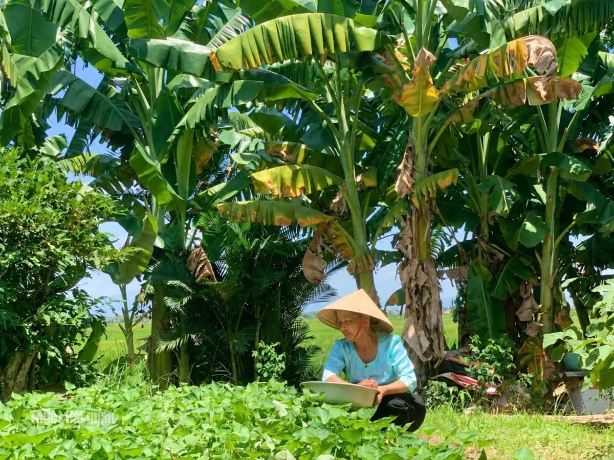 Người sử dụng đất phải nộp những khoản tiền nào?