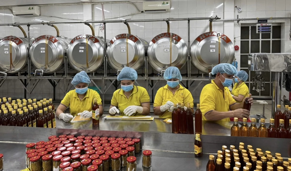 TP. Hồ Chí Minh: Tập trung giải pháp thúc đẩy xuất nhập khẩu, mở rộng thị trường
