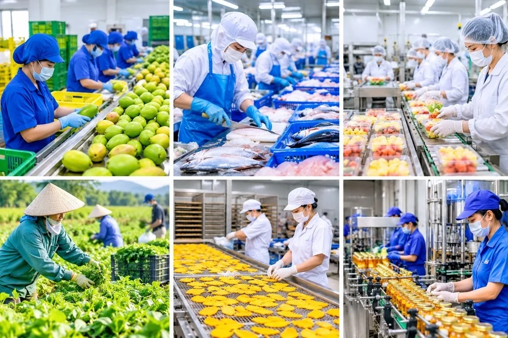 Nông sản Việt Nam đang phải đáp ứng ngày càng nhiều yêu cầu về dư lượng, truy xuất nguồn gốc và kiểm dịch khi xuất khẩu vào các thị trường lớn. Ảnh: Tư liệu.