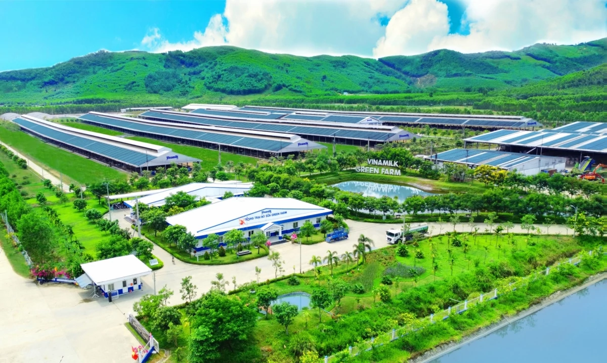 50 năm Vinamilk 50 năm Vinamilk: Khi “Đạt chuẩn” chưa phải là điểm dừng
