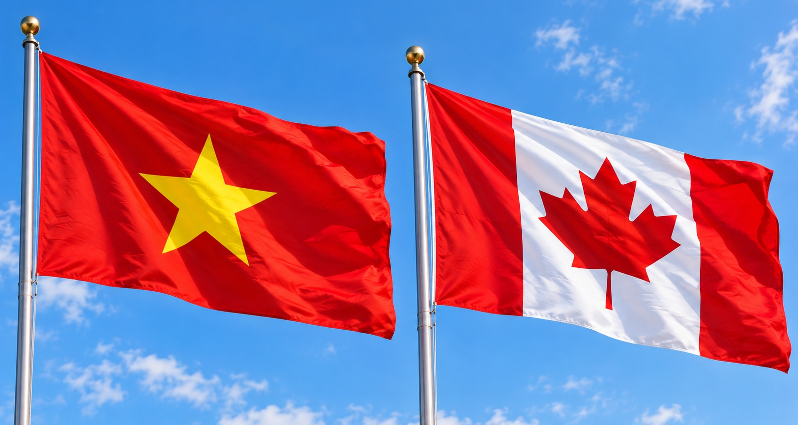viet nam canada mo rong khong gian hop tac thuong mai dau tu