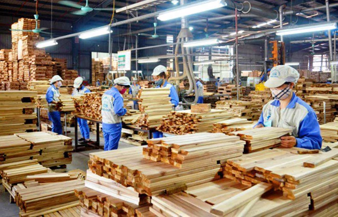 Nông lâm nghiệp Việt Nam: Từ lợi thế sản xuất đến làm chủ luật chơi toàn cầu Nông lâm nghiệp Việt Nam: Từ lợi thế sản xuất đến làm chủ luật chơi toàn cầu