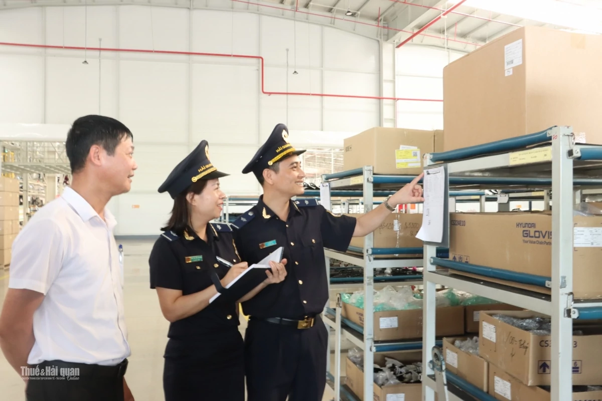 Chính sách thuế phải phản ánh đúng nguồn gốc, quá trình sử dụng và kết quả thực tế của hàng hóa. Ảnh: H.Nụ