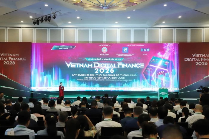 tai chinh so buoc vao giai doan lay du lieu va ai lam dong luc