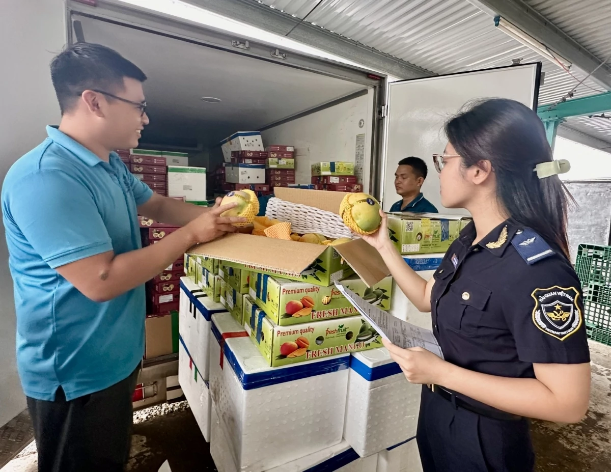 Hải quan khu vực XIII phấn đấu thu ngân sách cả năm đạt 5.230 tỷ đồng