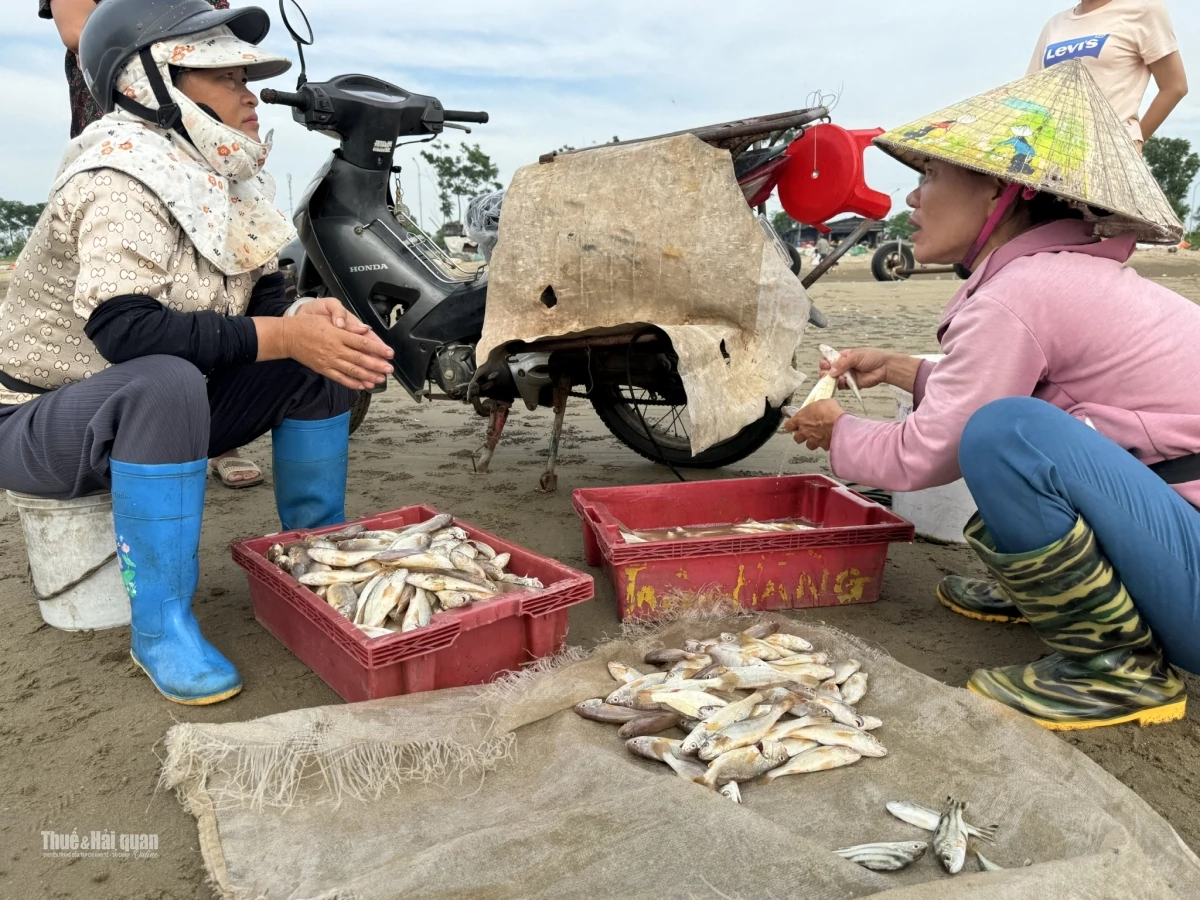 Thu mua nông sản của hộ gia đình tại các địa bàn kinh tế khó khăn, không phải áp dụng quy định thanh toán không dùng tiền mặt. Ảnh: Hương Quỳnh.