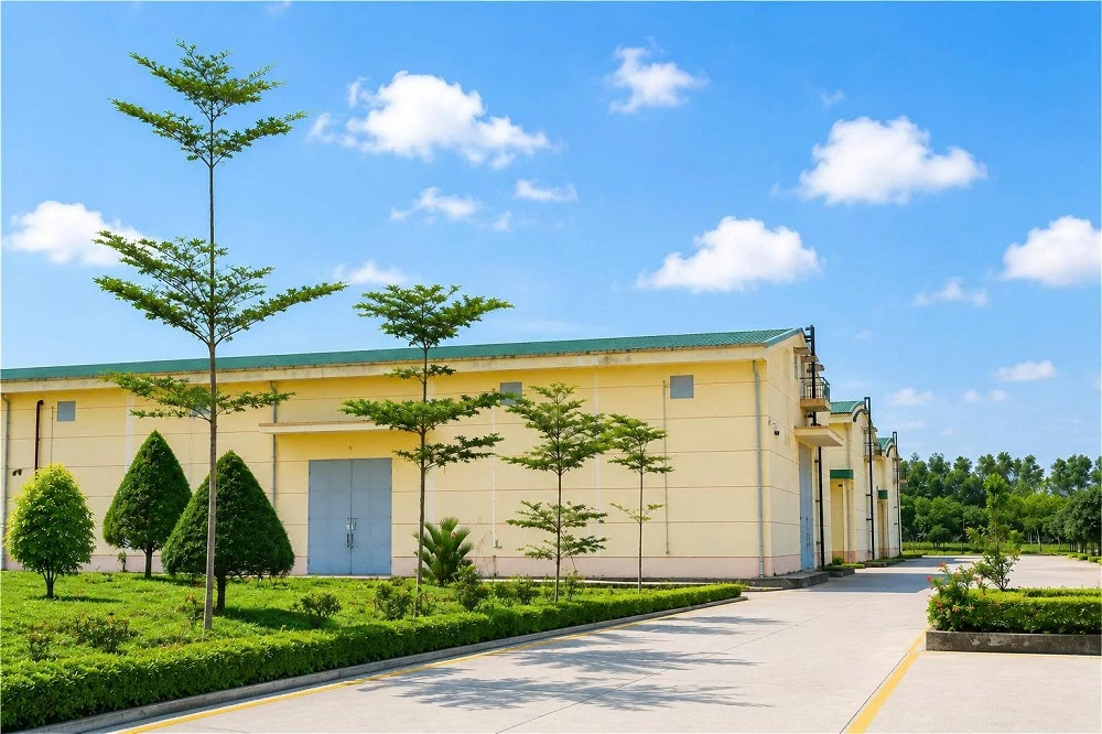 Ưu tiên bố trí tăng vốn ngân sách đầu tư xây dựng kho dự trữ quốc gia Ưu tiên bố trí tăng vốn ngân sách đầu tư xây dựng kho dự trữ quốc gia