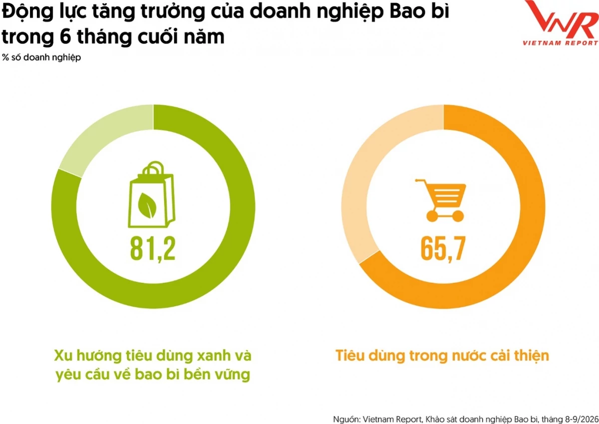 Thêm dư địa tăng trưởng cho thị trường bao bì 2026