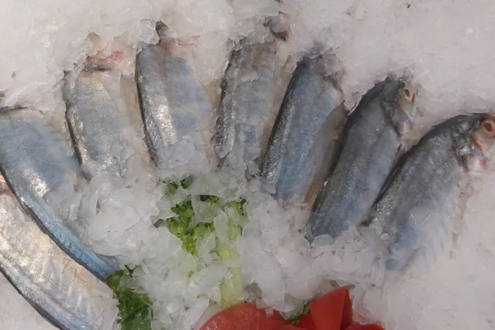 Xuất khẩu thủy sản tăng tốc, mở rộng dư địa tăng trưởng cuối năm