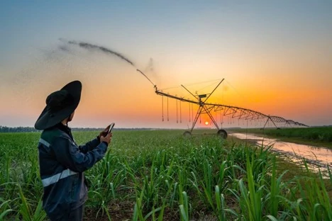 AgriS hoàn thiện nền tảng quản trị, sẵn sàng cho giai đoạn phát triển mới AgriS hoàn thiện nền tảng quản trị, sẵn sàng cho giai đoạn phát triển mới