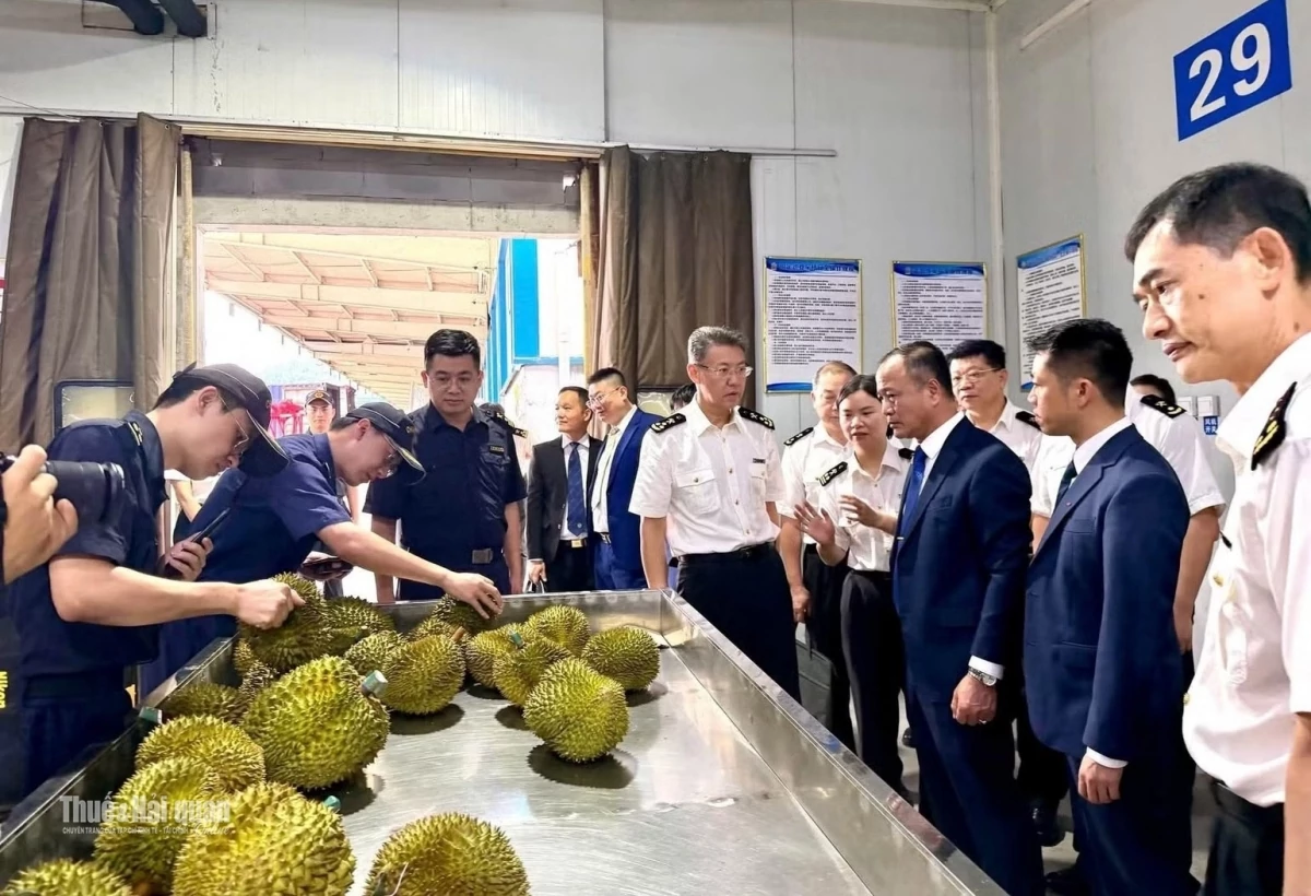 Hải quan khu vực VI: Khi phương thức quản trị tạo ra dư địa nguồn thu mới