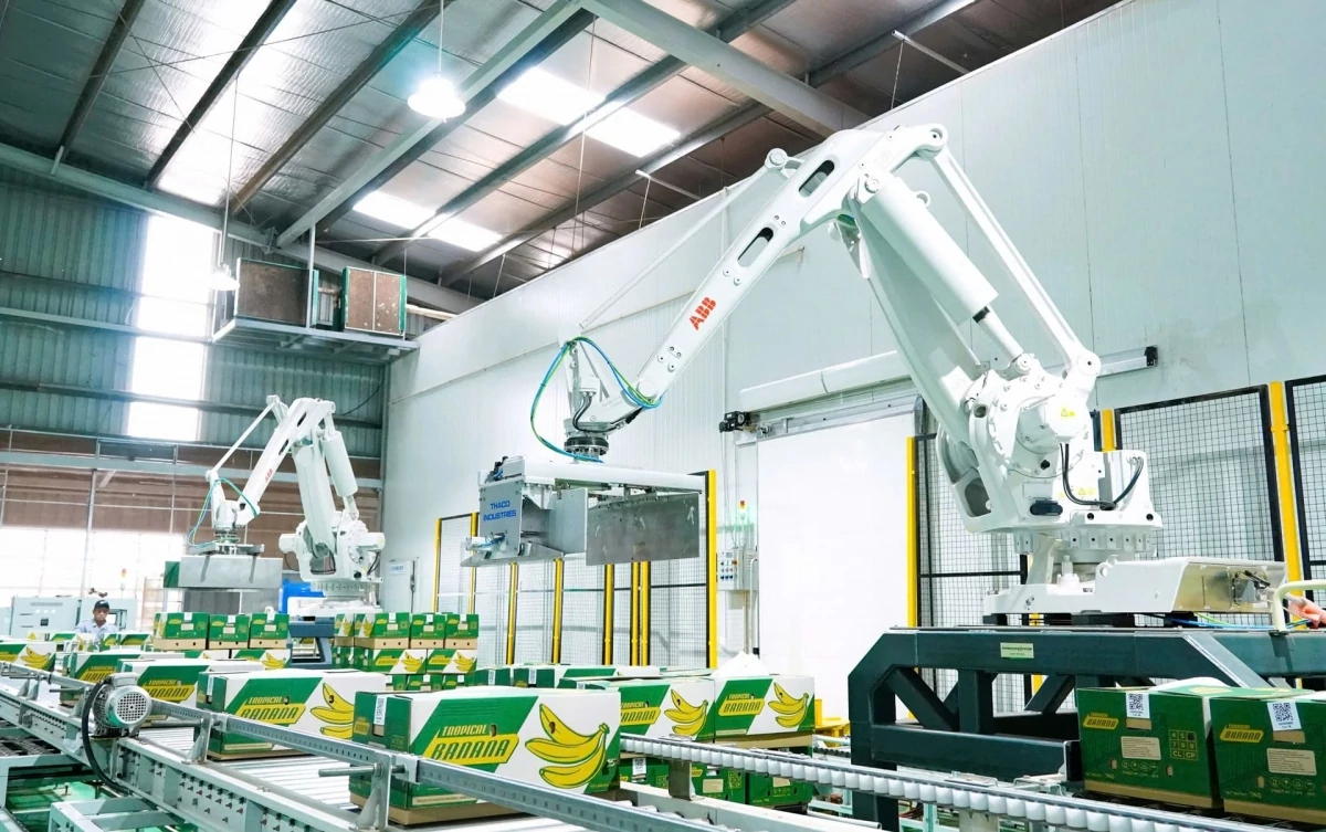 6 doanh nghiệp bị phạt 645 triệu đồng vì vi phạm chứng khoán
