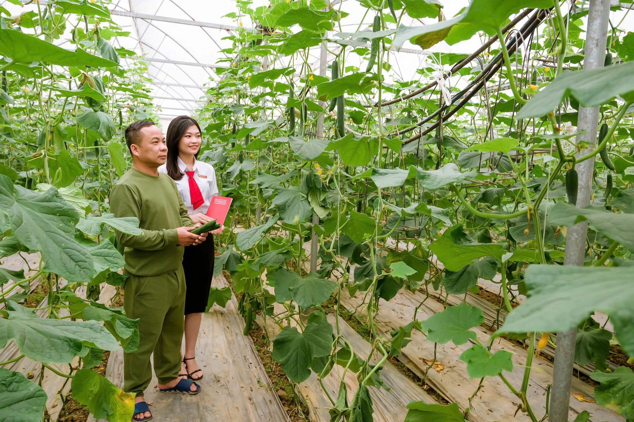 Agribank dồn lực cho chặng nước rút cuối năm 2026