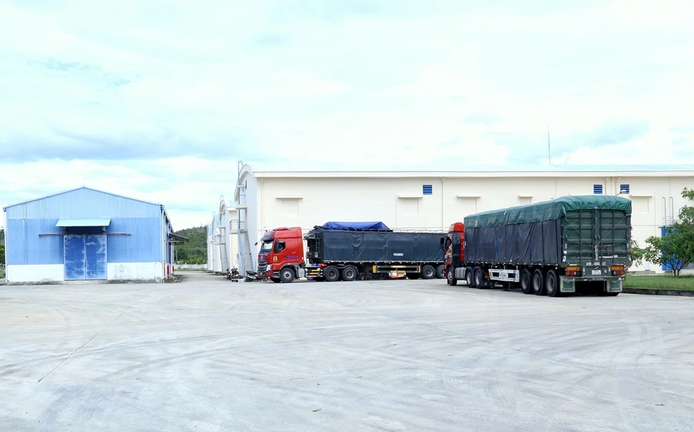 Khẩn trương rà soát hiện trạng các kho dự trữ quốc gia Khẩn trương rà soát hiện trạng các kho dự trữ quốc gia