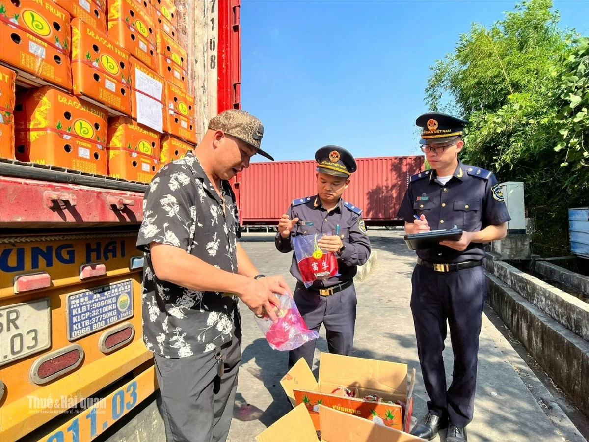 Quy định hải quan rõ ràng giúp doanh nghiệp vận tải chủ động giao nhận hàng hóa. Ảnh: H.Nụ