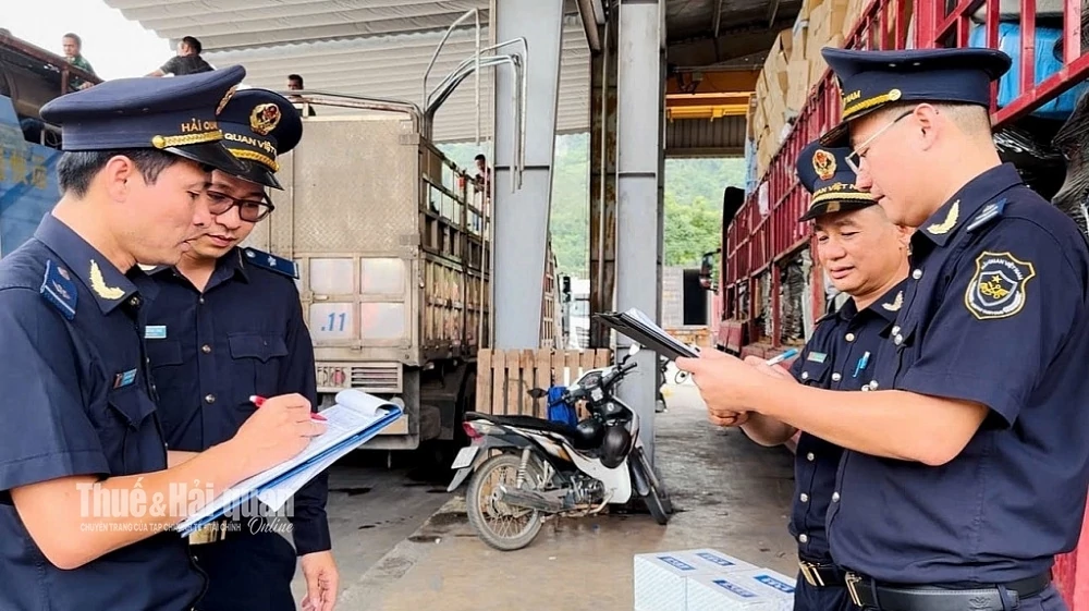 Thể chế trong lĩnh vực hải quan được xây dựng theo hướng tới hoàn thiện cơ sở pháp lý cho các lĩnh vực có yêu cầu quản lý chuyên biệt. Ảnh: Loan Nguyễn