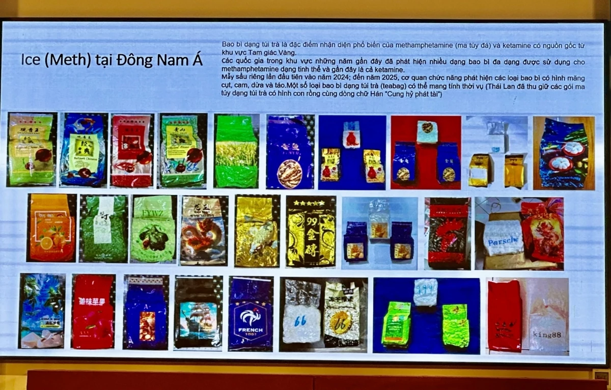 Hải quan khu vực II nâng cao năng lực phòng, chống tội phạm ma túy