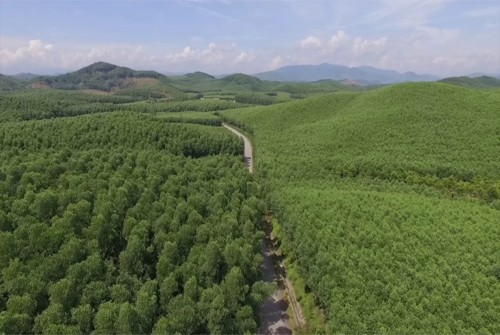Đã có sàn giao dịch, cần thêm gì để thị trường carbon phát triển?